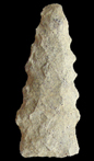Thumbnail image of a Kirk Serrated point.